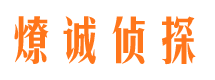 江北区市调查公司